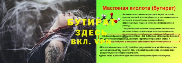 стаф Богданович