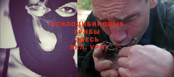 Альфа ПВП Богородицк