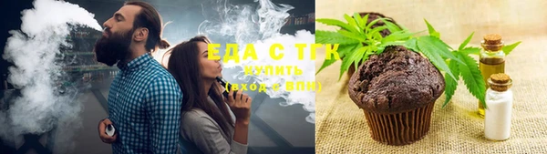 стаф Богданович