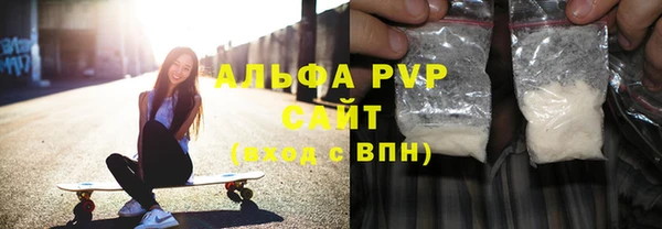 стаф Богданович