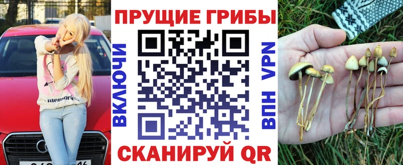 где можно купить Кирсанов Псилоцибиновые грибы мухоморы