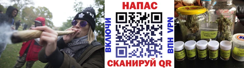 Бошки Шишки индика  Кирсанов 